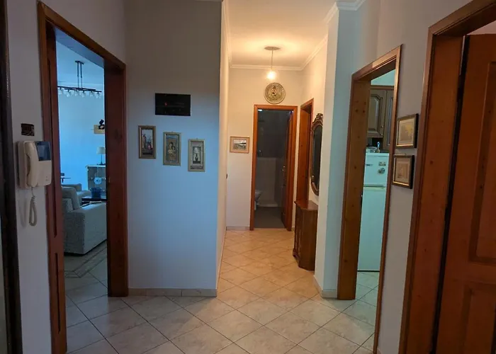 Center 1 * 地拉那